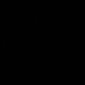 Meet your Posher, Jessi